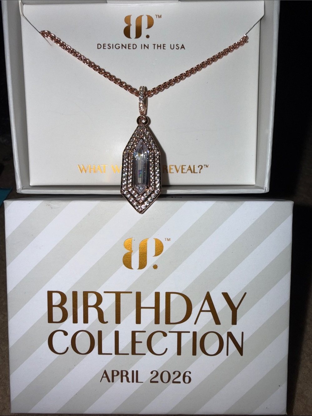 BP April 2026 necklace NWT